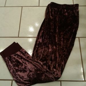 Secret Treasures velvet pants